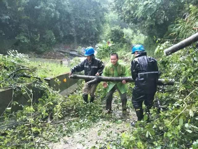 最新台风警报，如何应对与防范台风风险与影响全面指南