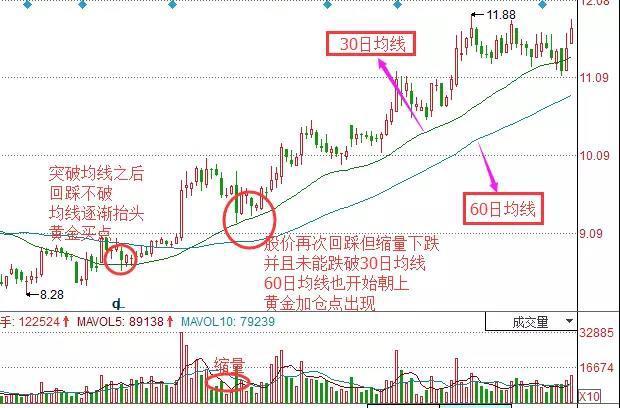 2024年免费资料独家揭秘实用技巧助你成功_流行趋势解析