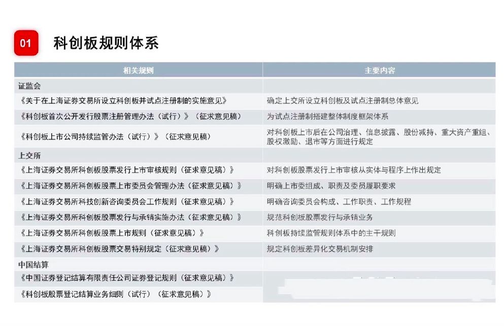 2024新奥精准正版资料，最新核心解答落实_WP21.31.88