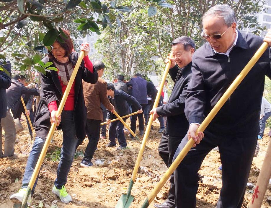 唐河复航项目最新消息,唐河复航项目最新消息，详细步骤指南