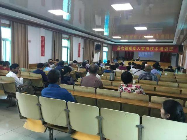 萧山最新政策解读，如何了解和适应新政以完成任务或学习技能？