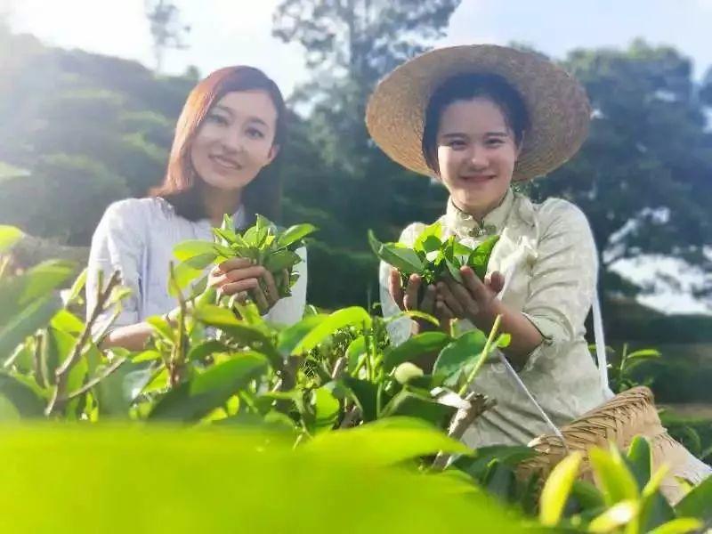 脐橙直播教程详解，从入门到精通的步骤指南