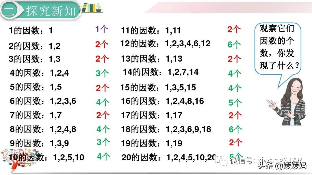 质数合数直播，探索数学奥秘的旅程