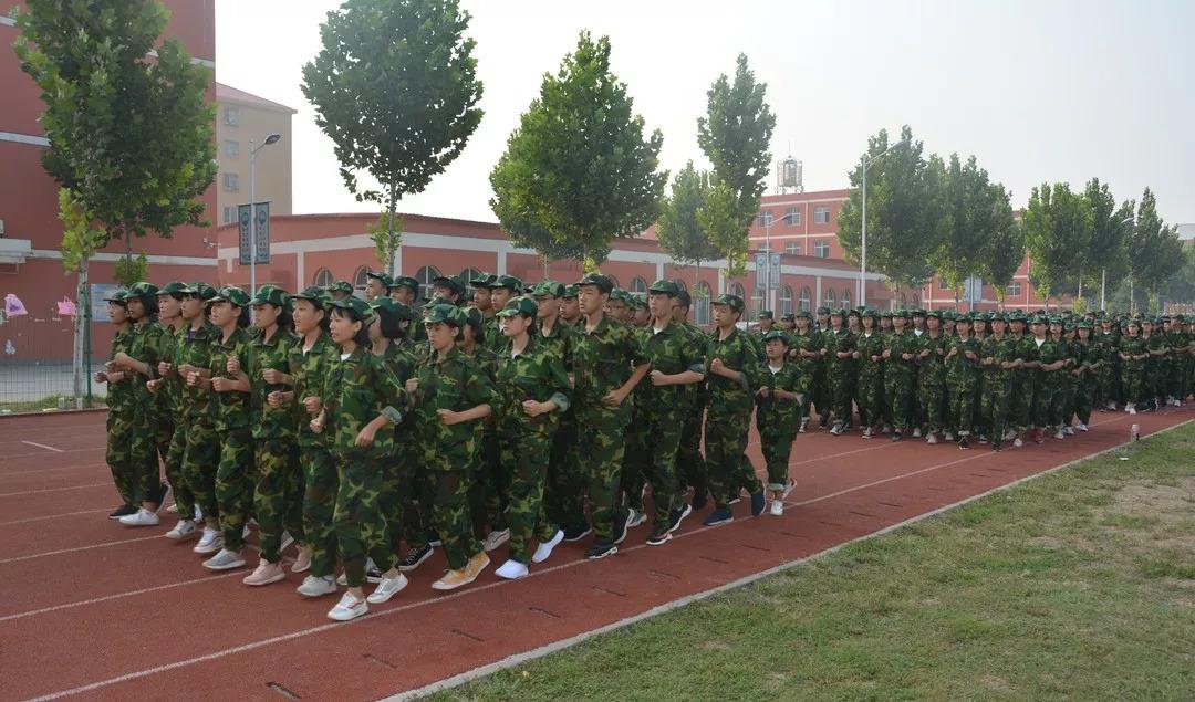 LOL最新消息更新与绿色征途，探索自然美景的轻松之旅