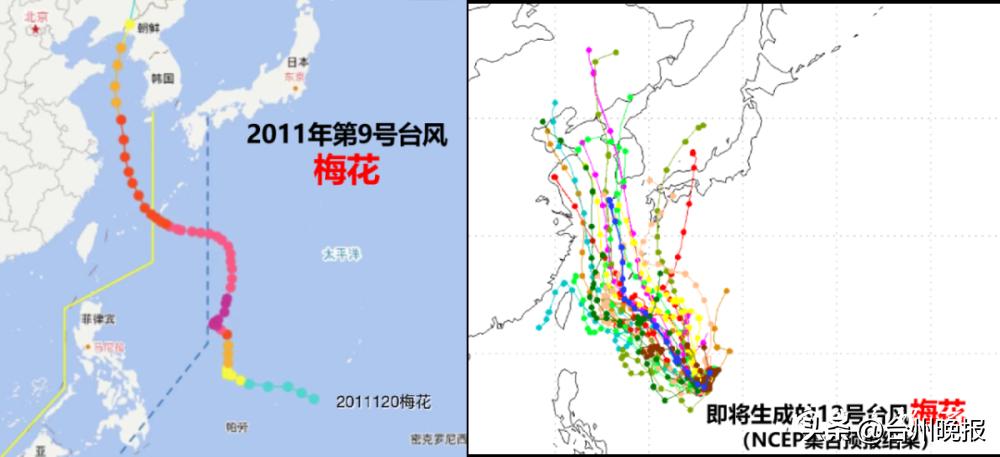 台风梅花最新信息解析，第18号台风的动态与影响分析