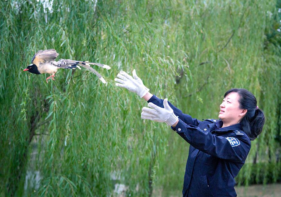 合肥广德家园最新动态揭秘，自然美景探索之旅启幕