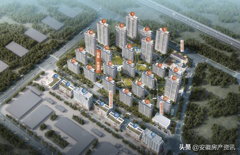 合肥滨湖楼市最新动态揭秘，市场走势、热门楼盘一网打尽