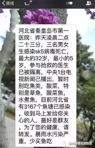 大连SK5病毒最新消息，全面指南与步骤解析