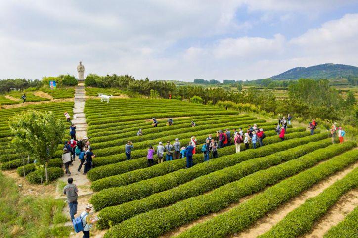 泰州江南一品最新资讯，科技前沿引领生活新纪元