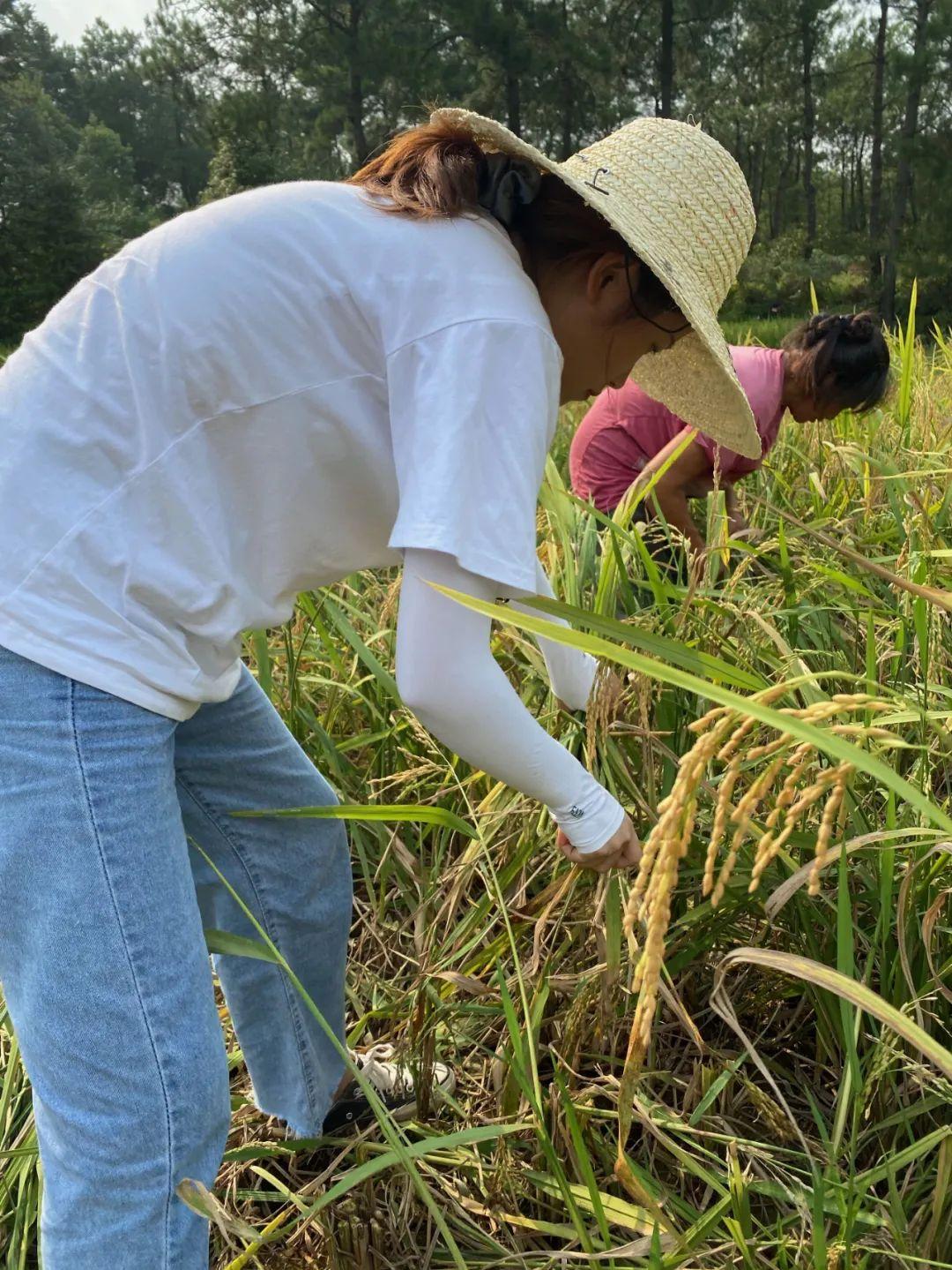 最新穿越种田小说完结，播种希望，收获自信与成长的旅程